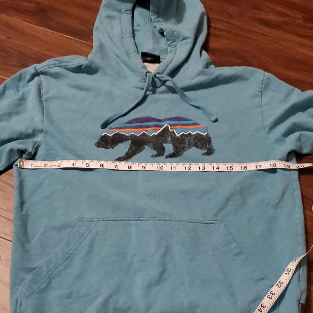 Patagonia Light Blue Hoodie with Bear Graphic - Picture 7 of 10